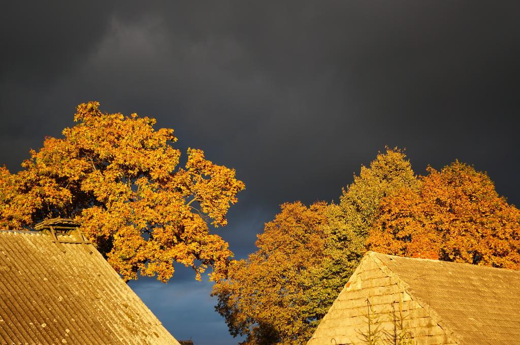 Przystanek Rospuda Villa Sucha Wies Exteriör bild